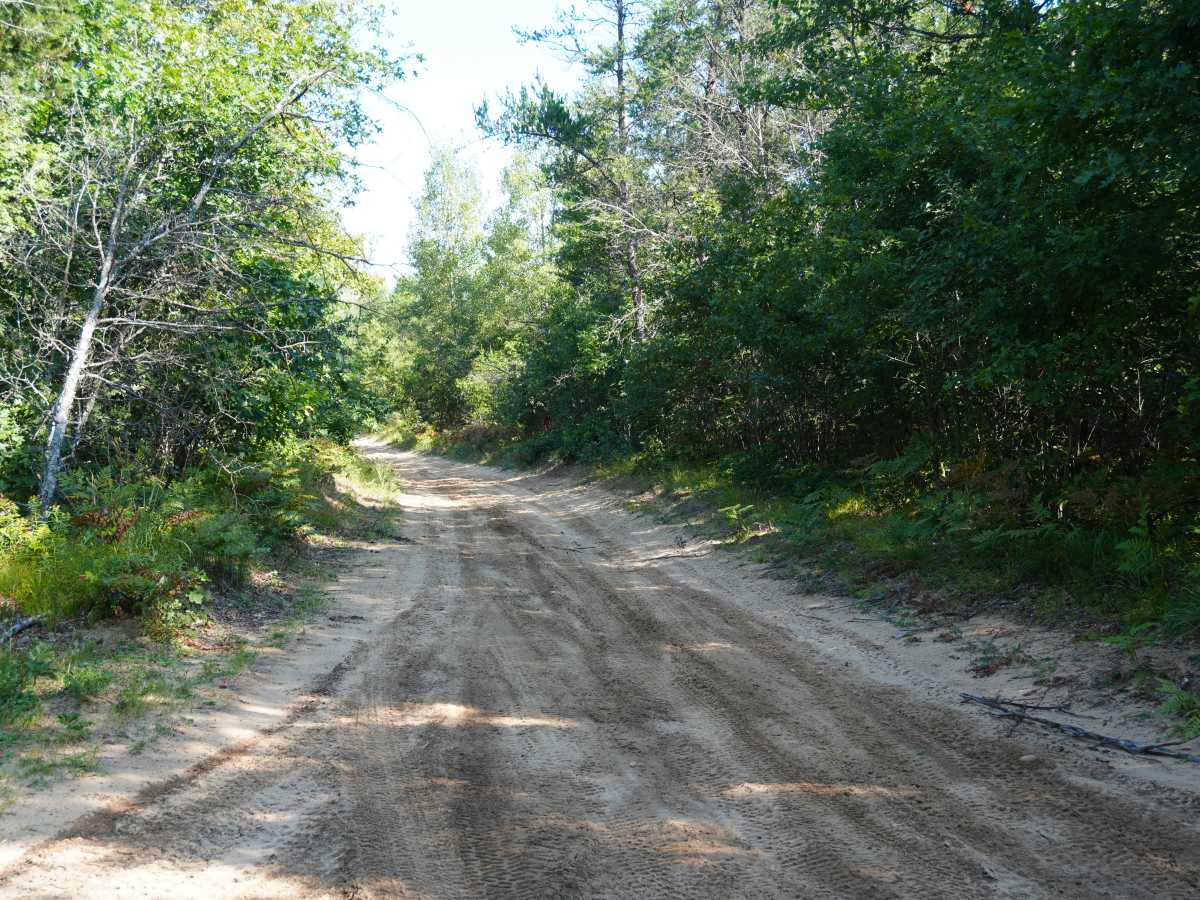 Woods Road photo 4