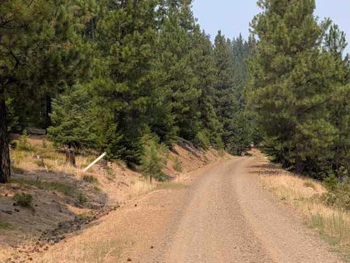Naneum Basin Road photo 5