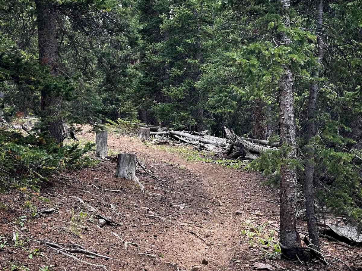 Browns Pass Trail #739  photo 6