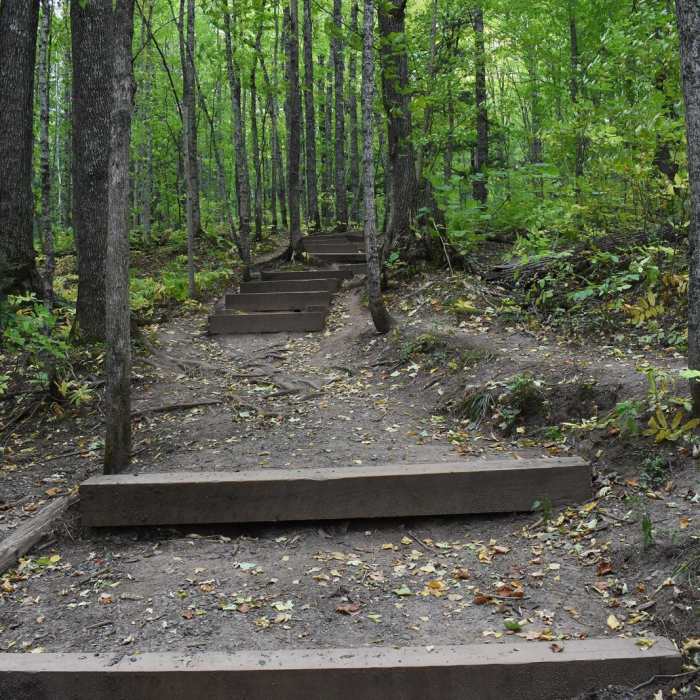 Near Great Conglomerate Falls