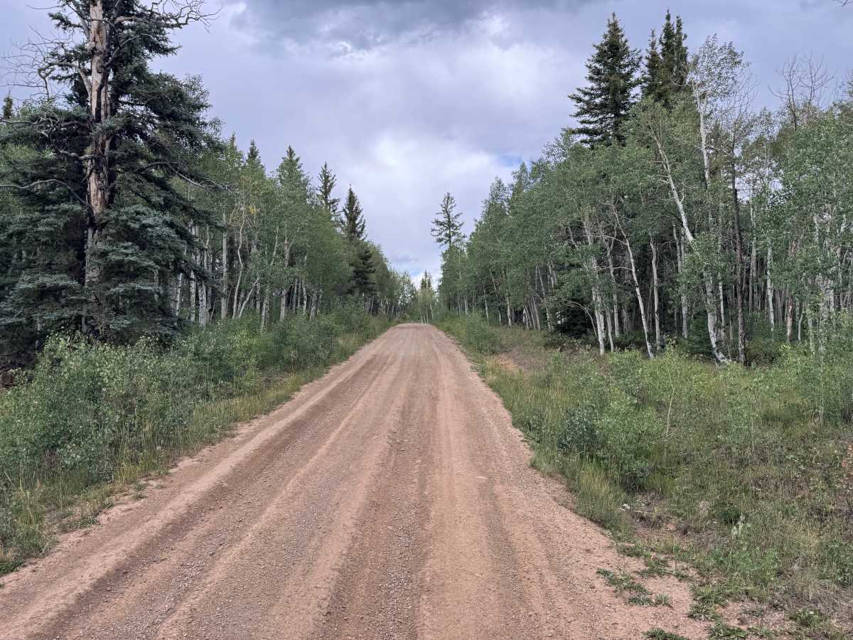 Rock Springs Road photo 5