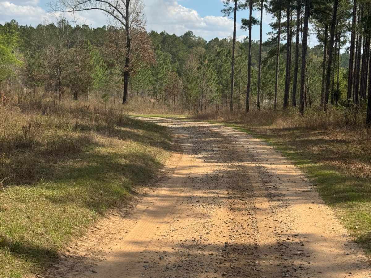 East Entrance Trail photo 5