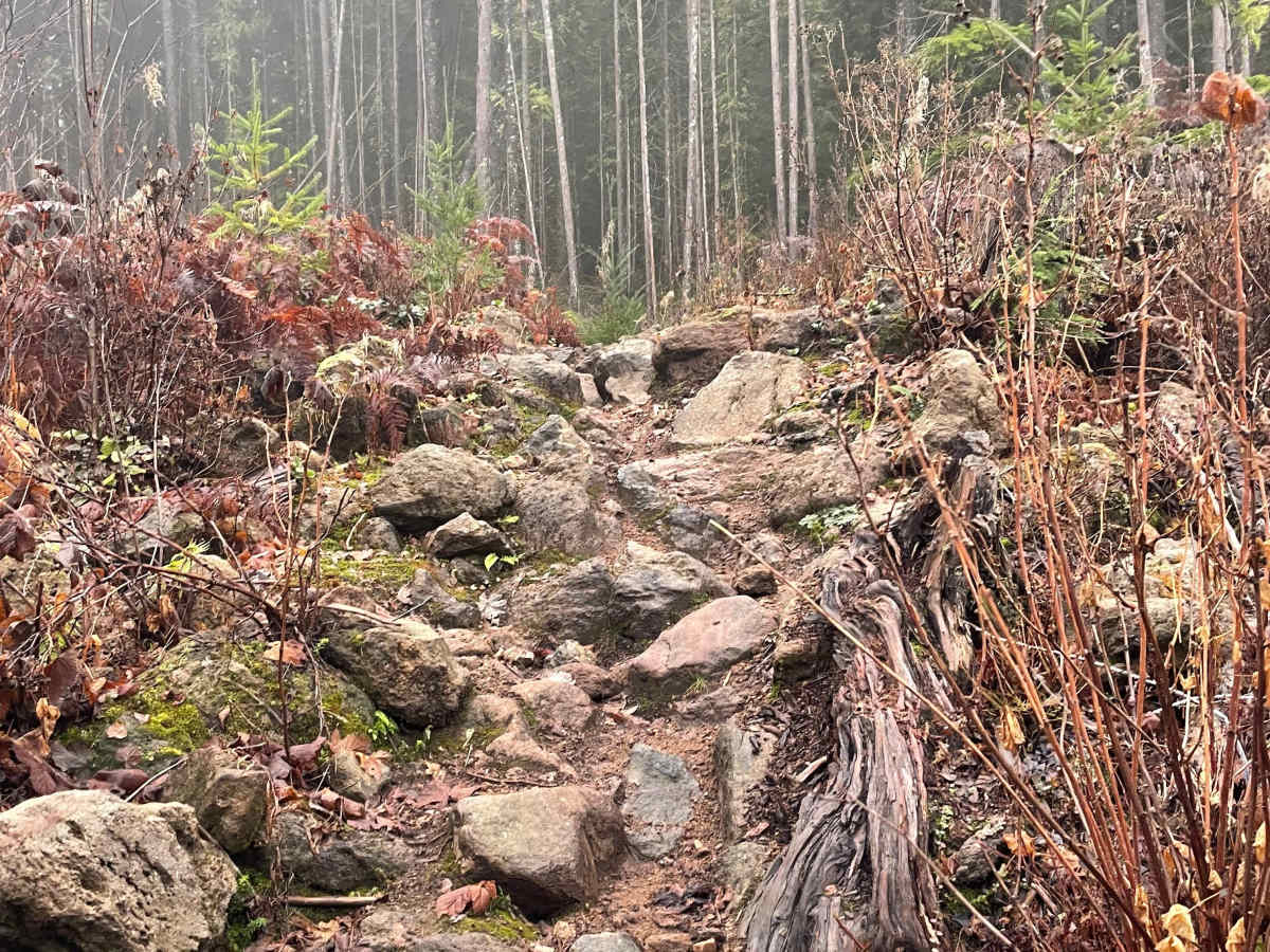 No Limits trail photo
