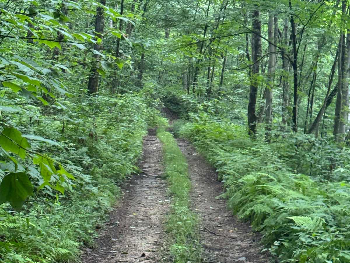 Trail 64 photo 5