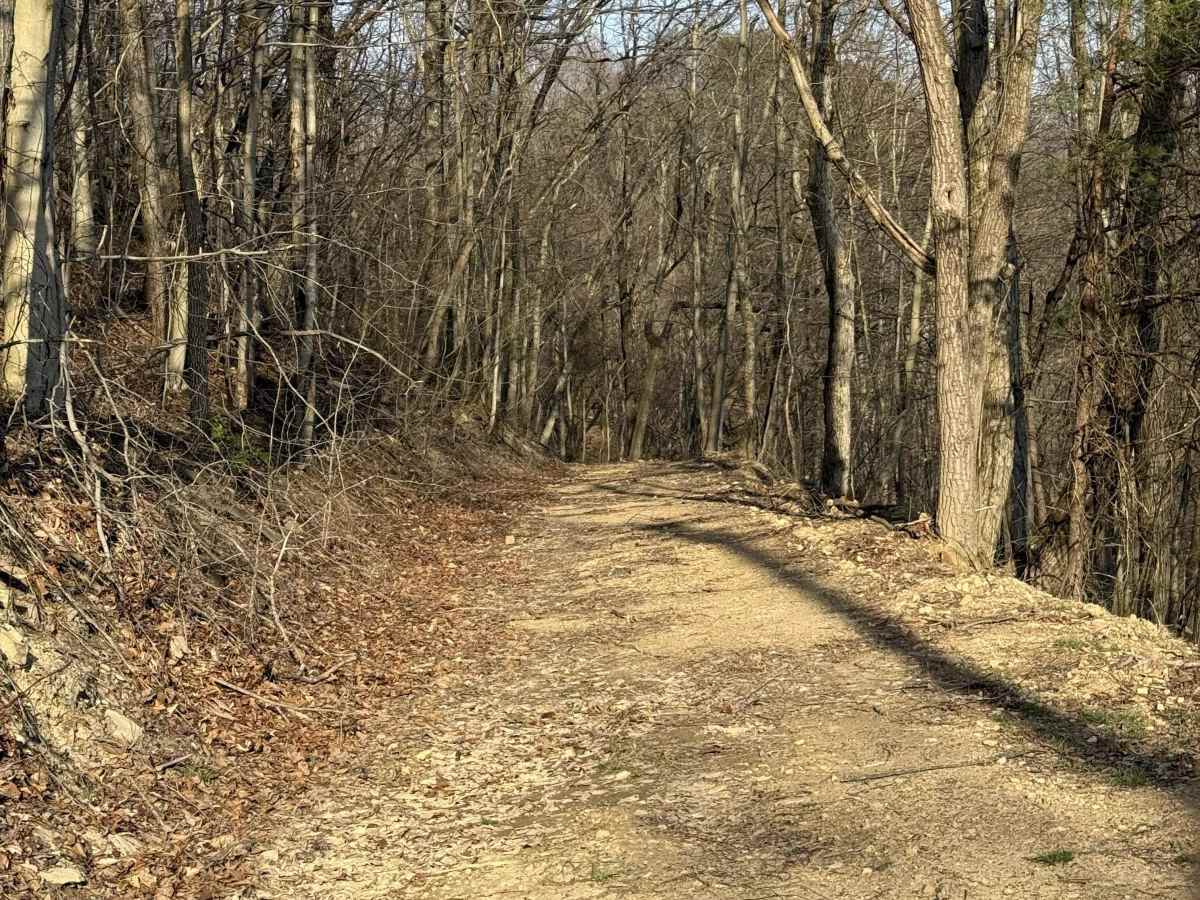 Q18 trail photo