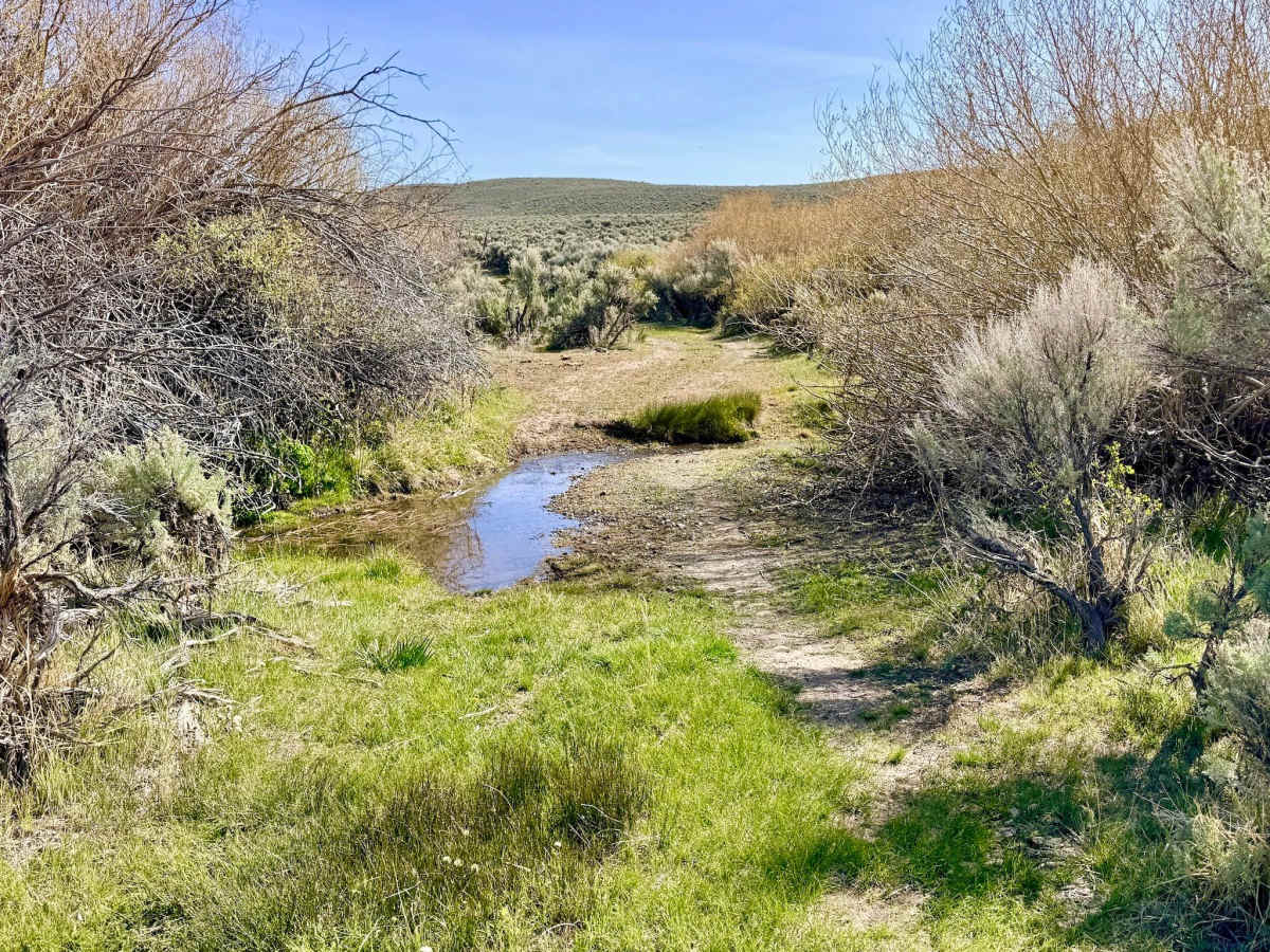 Barton Creek-Willow Creek Loop - FS 43011 photo 2