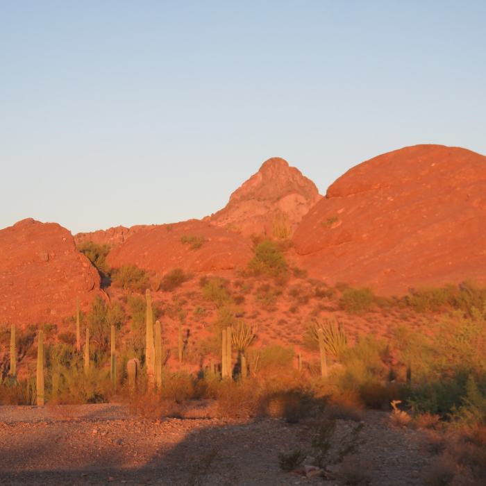 Near Cowpie Rock Loop