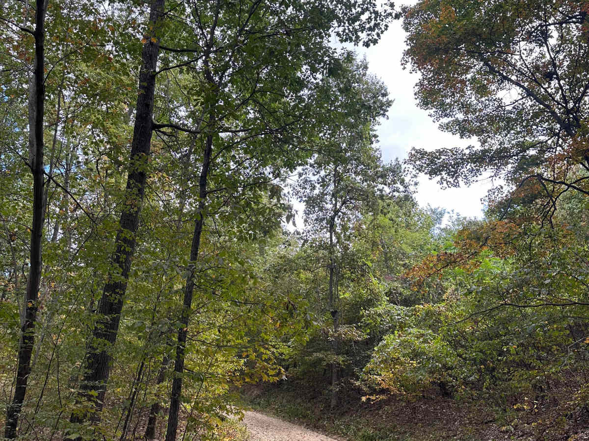 Big Mountain Trail photo 3
