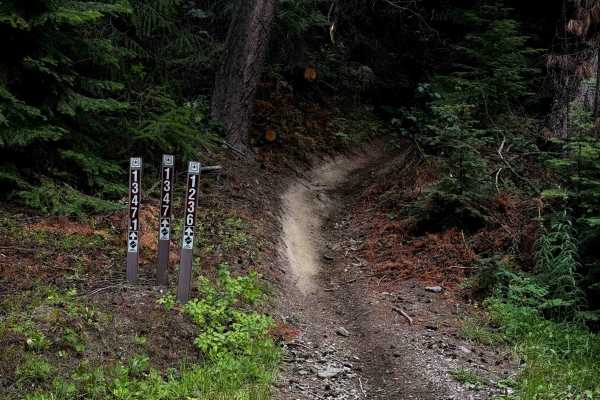 Hoyt Mine - FS 1347