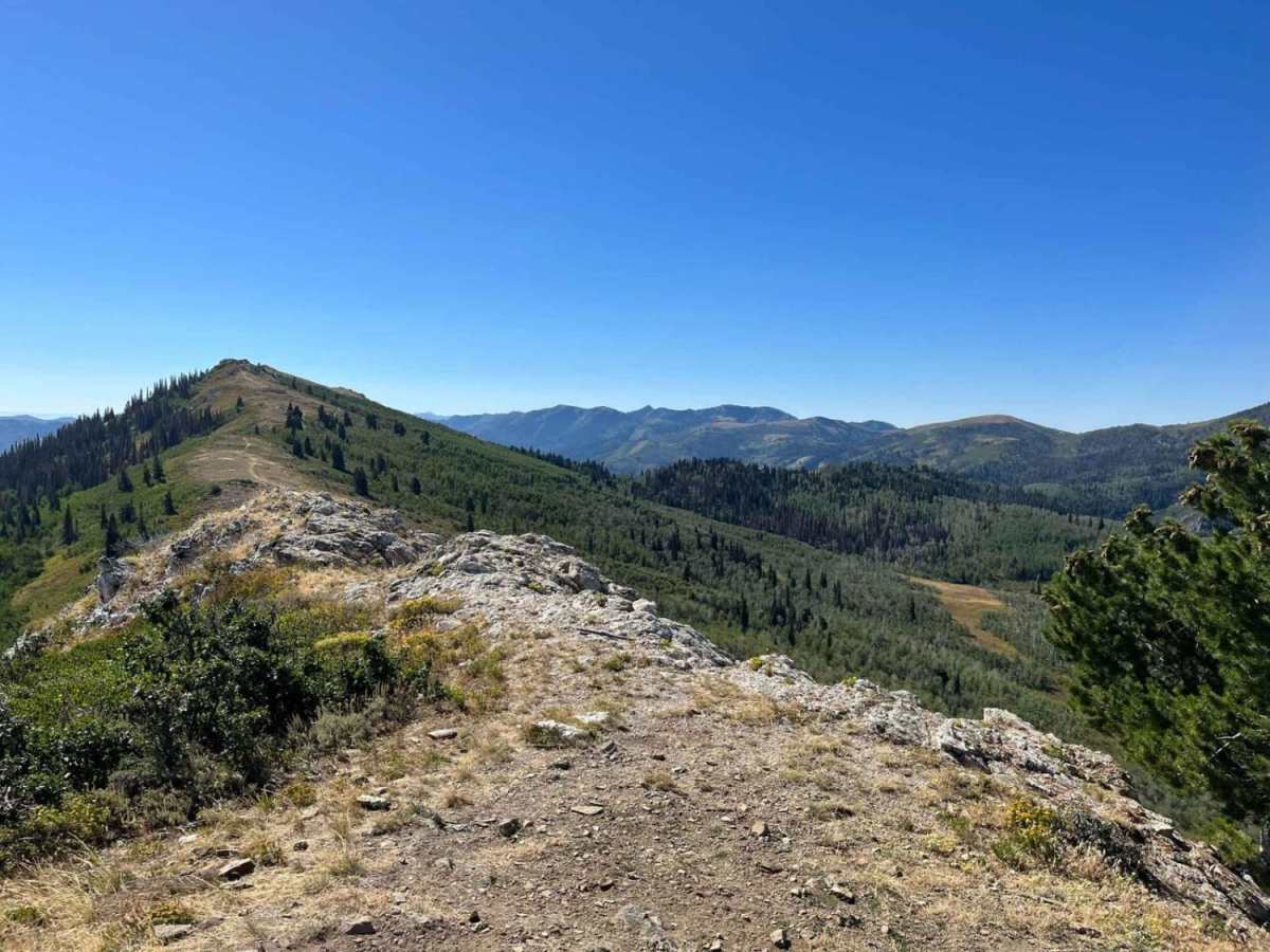 Gold Hill trail photo