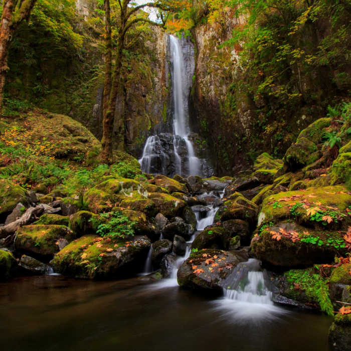 Near Kentucky Falls Hike