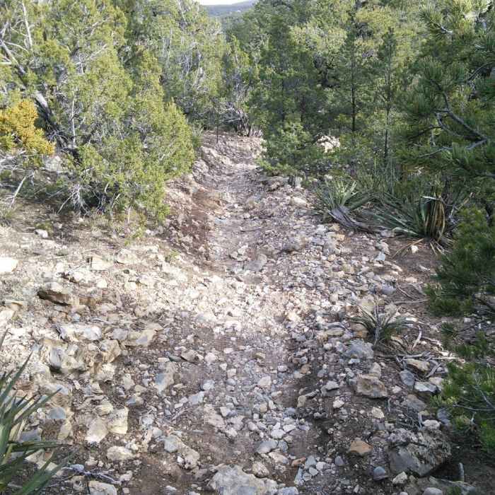 Near Cedro Peak