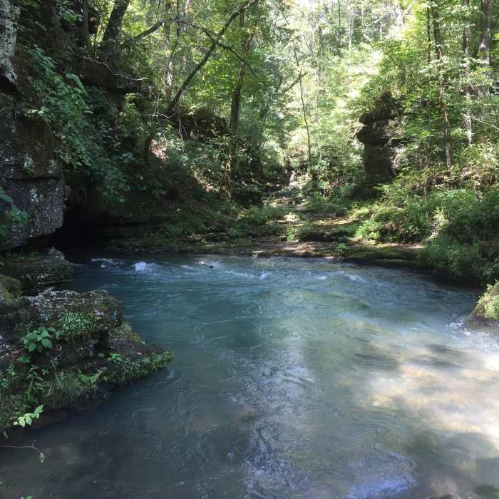 Near Greer Spring Trail