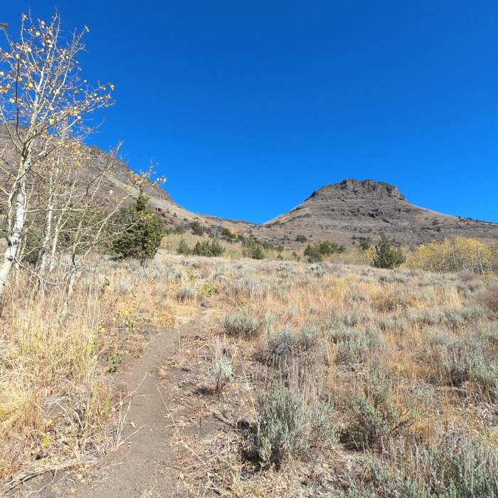 Near Little Blitzen Gorge Trail