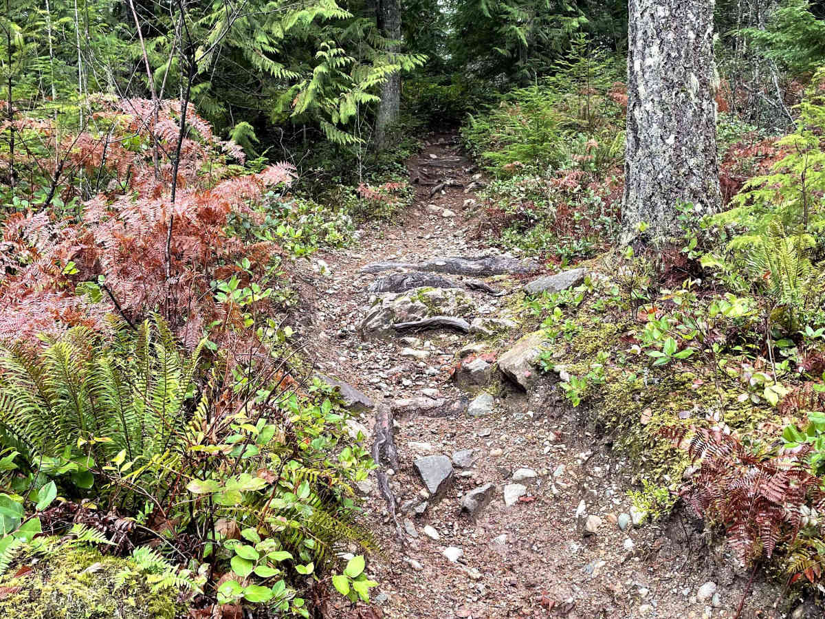 Widowmaker Start photo 4