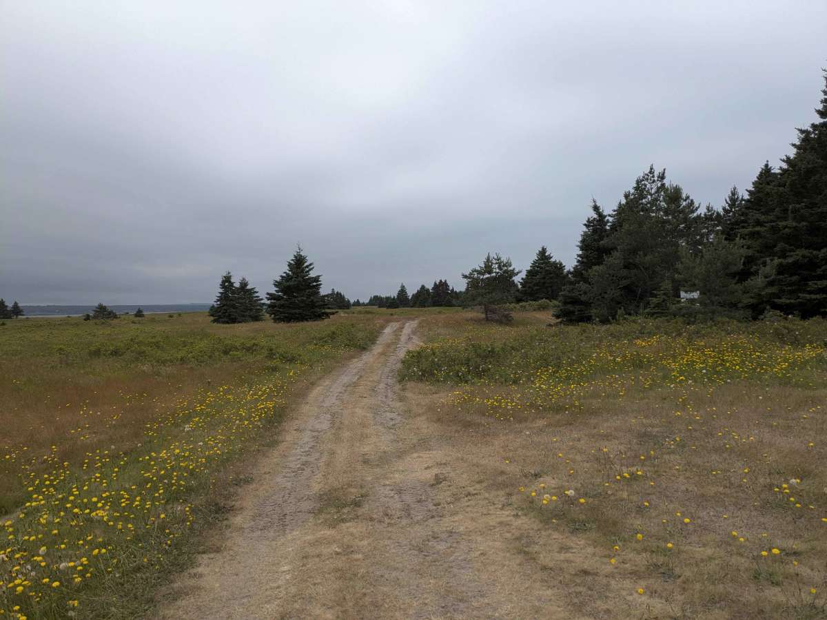 Sandy Point photo 6