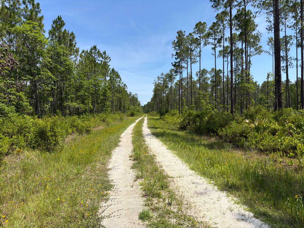Quarters Road photo 6