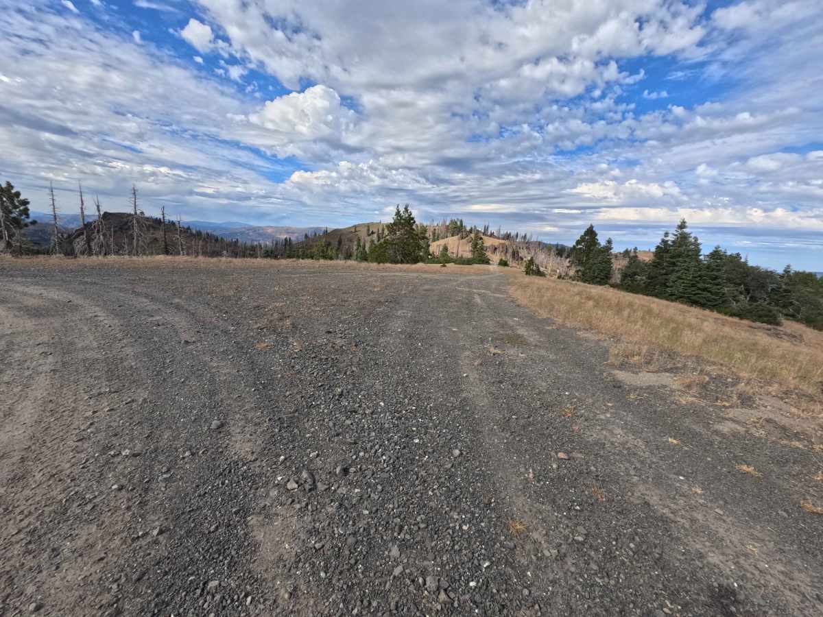 Buckhorn Ridge - FS 21N87 photo 3