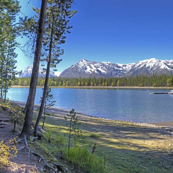 Near Heron Pond Hike