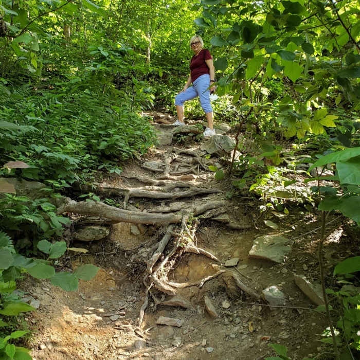 Near Stubblefield Falls Overlook Trail
