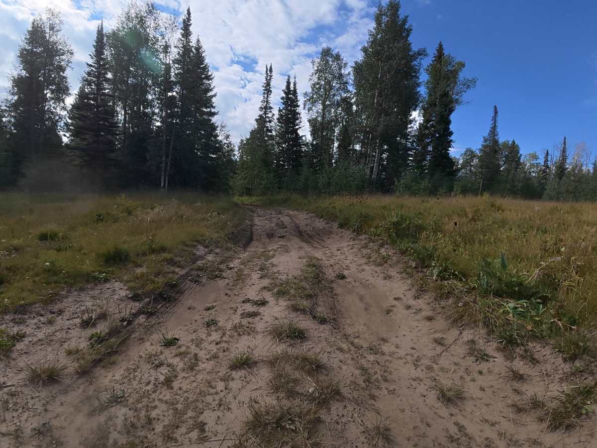 Mansfield Road - FS 830 photo 6