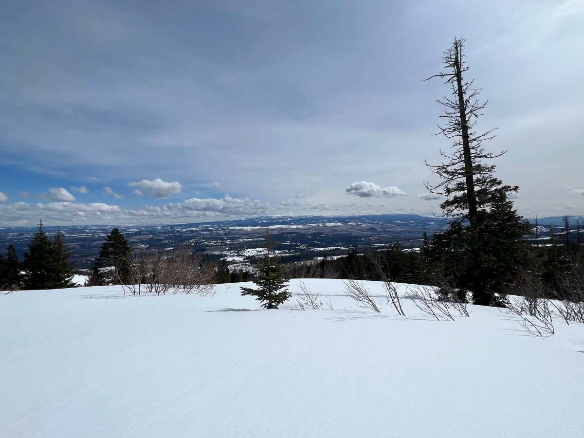 Elk Mountain Loop photo 4