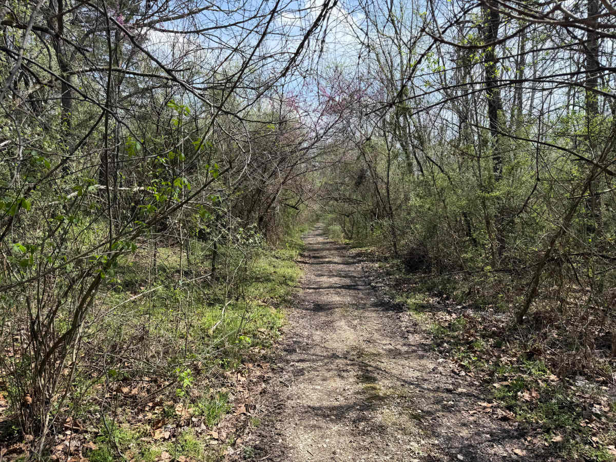 Bear Top Loop photo 6