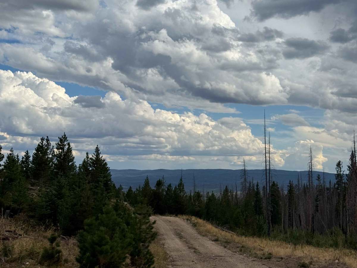 Beaver Dam trail photo