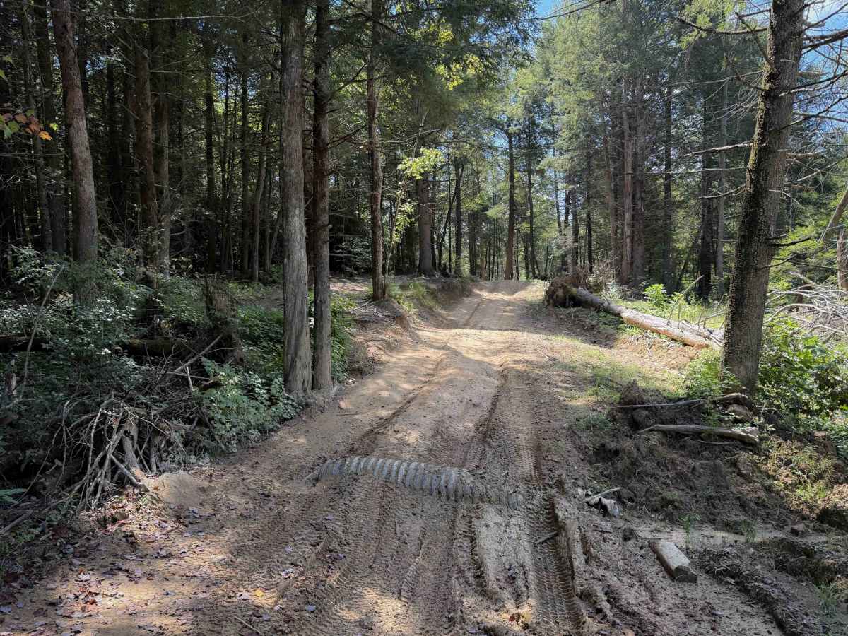 Jennings Creek Trail 8  photo 2