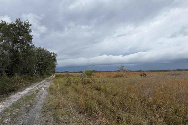Road 7 Loop - Three Lakes WMA