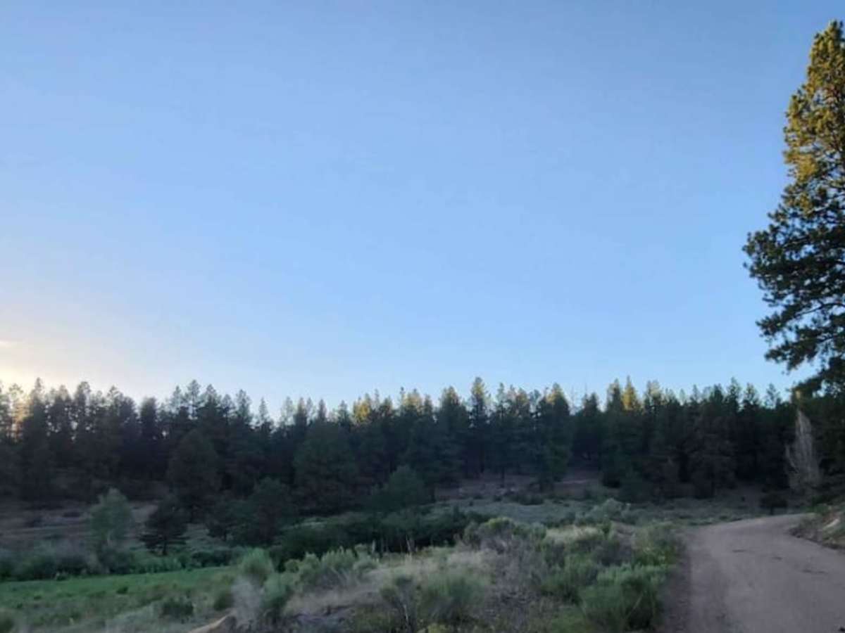 Upper House Creek Road photo 3