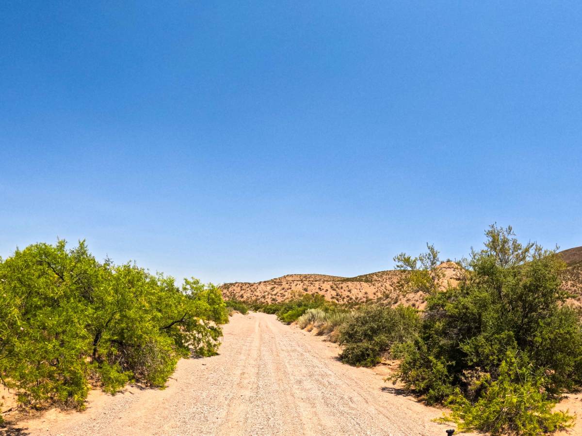 Desert Wind Way photo 6