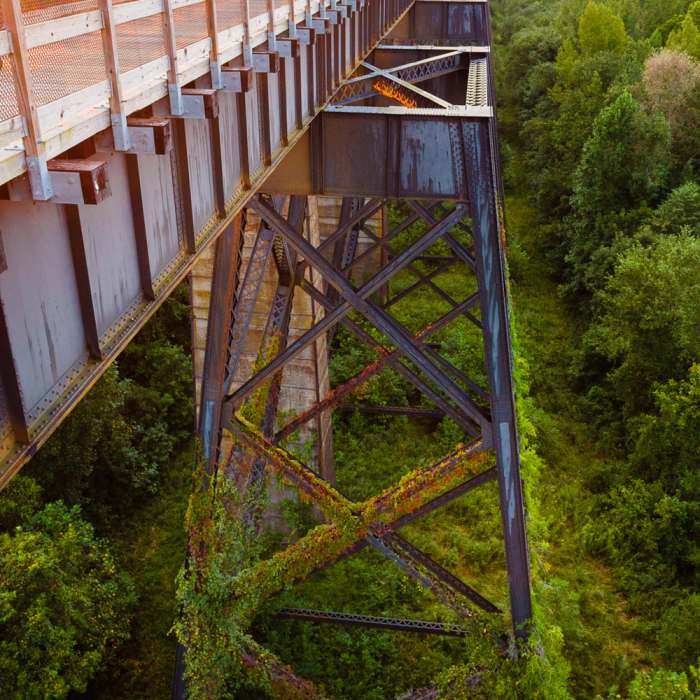 Foliage creeping up the bridge's trestles Near High Bridge Trail