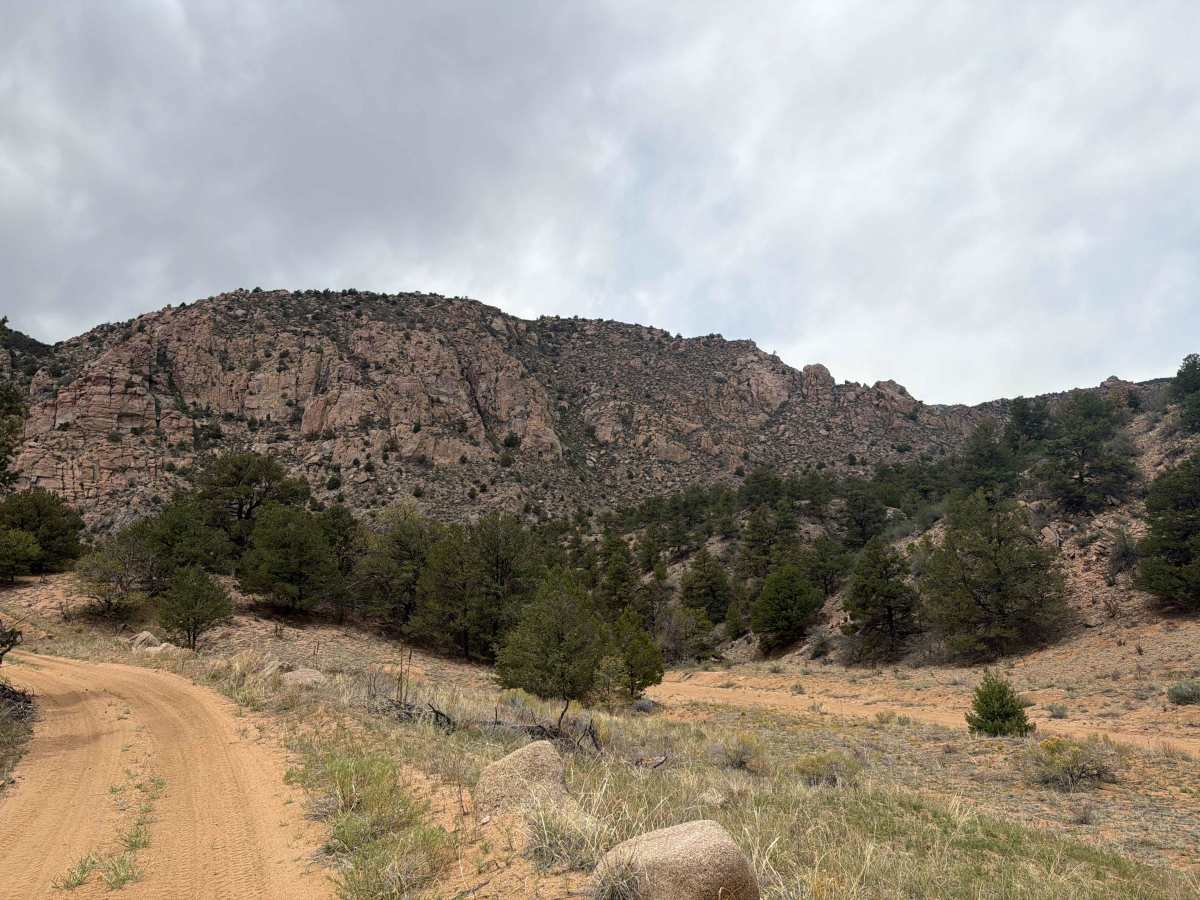 BLM 6020A photo 4