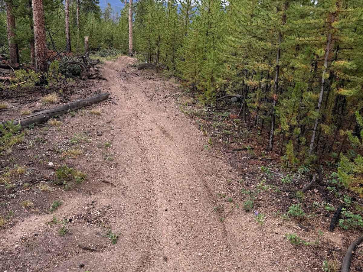 Whiskey Draw Trail photo 5
