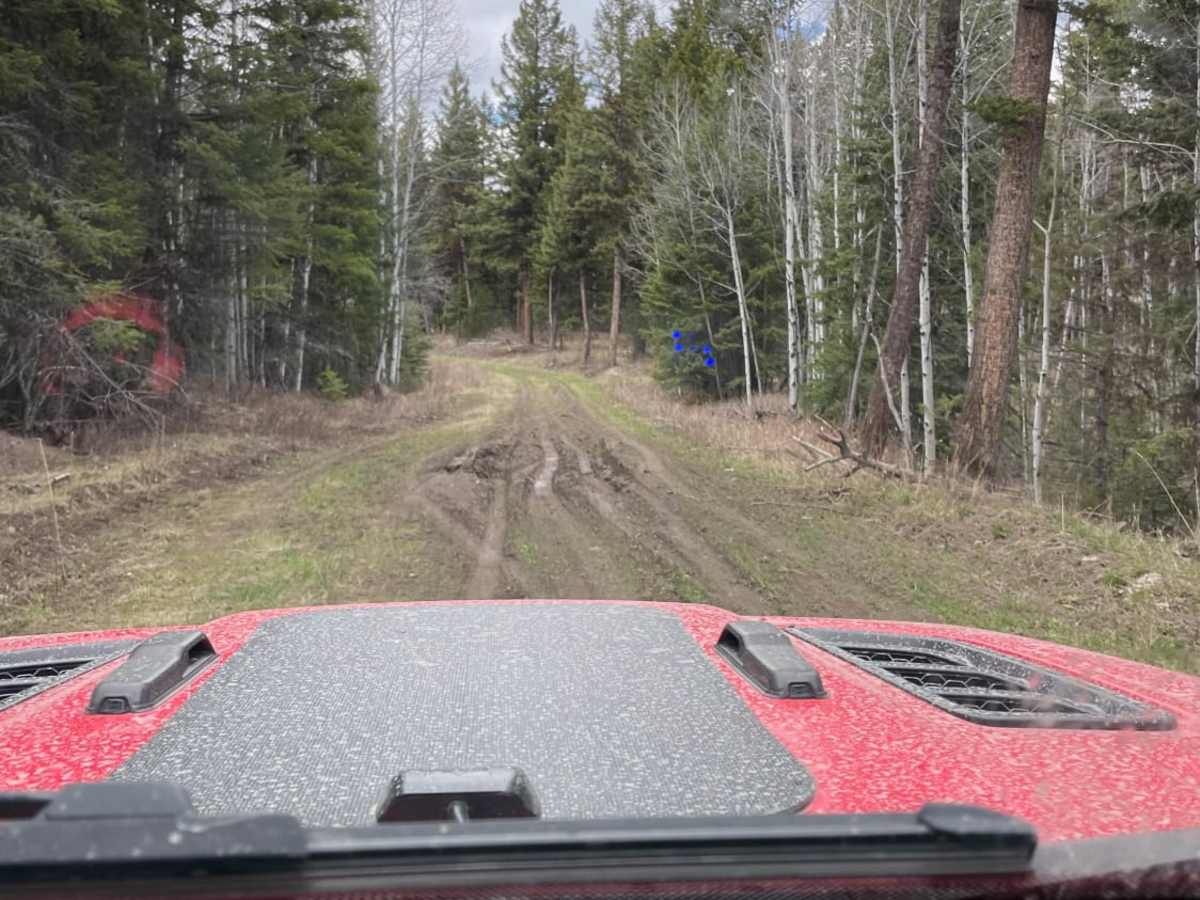Range Road photo 4