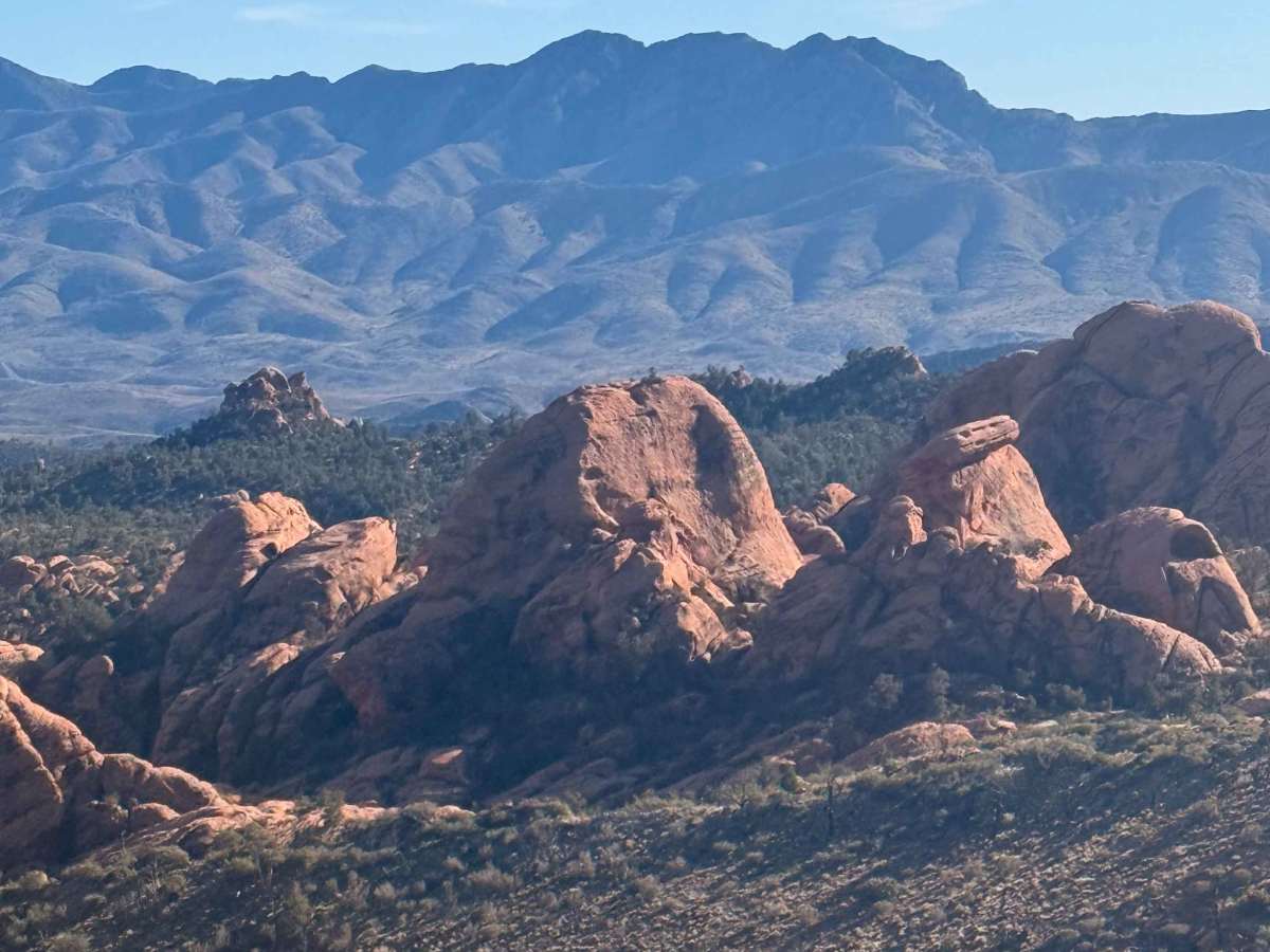 Cole Spring Ridge trail photo