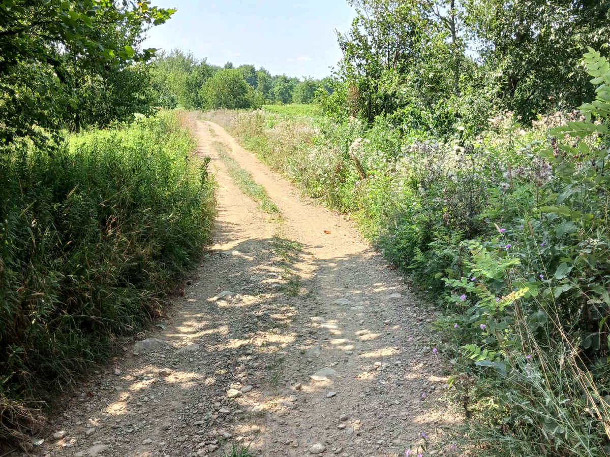 Grizzly Path - Rock Run Recreation Area photo 4
