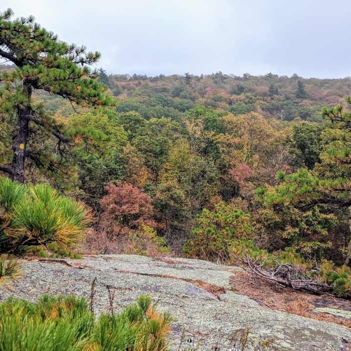 Near Bearfort Ridge Loop