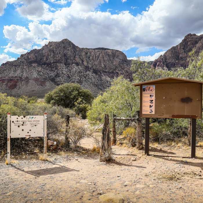 Near First Creek Pool + Waterfall