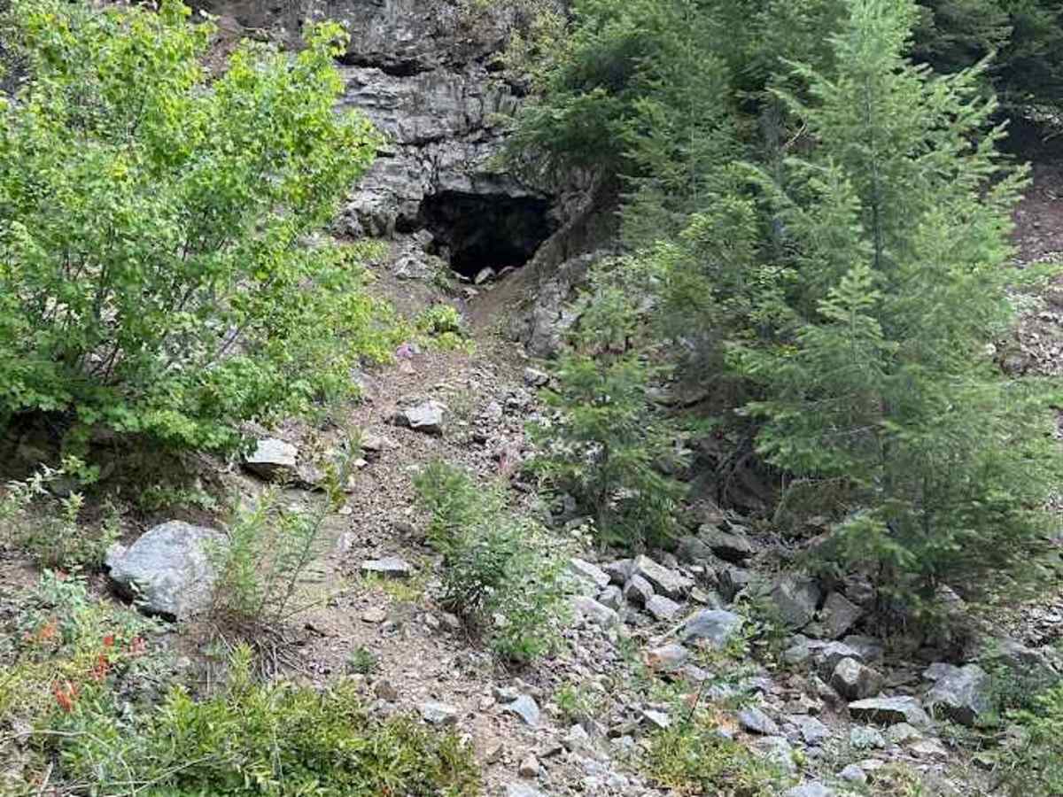 Moonlight Creek trail photo