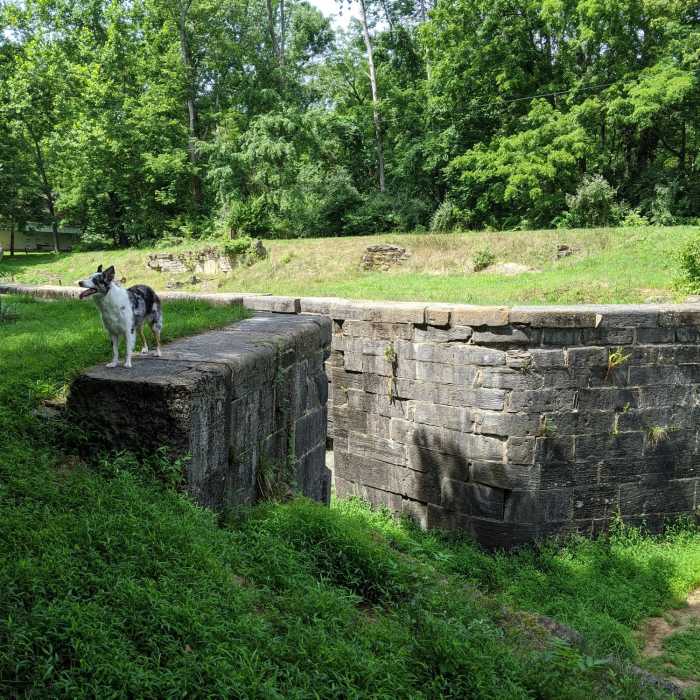 Near C&O Canal: Lock 45 to Lock 50