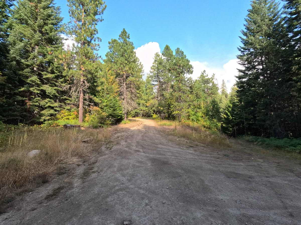 Pelke Ridge - FS 1094 trail photo