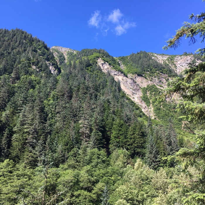 Near Gold Creek Flume Trail