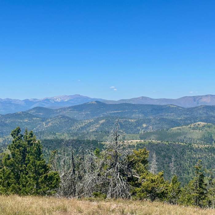 Near Continental Divide Trail: Montana-Idaho Section 22 Near Continental Divide Trail: Montana-Idaho Section 22