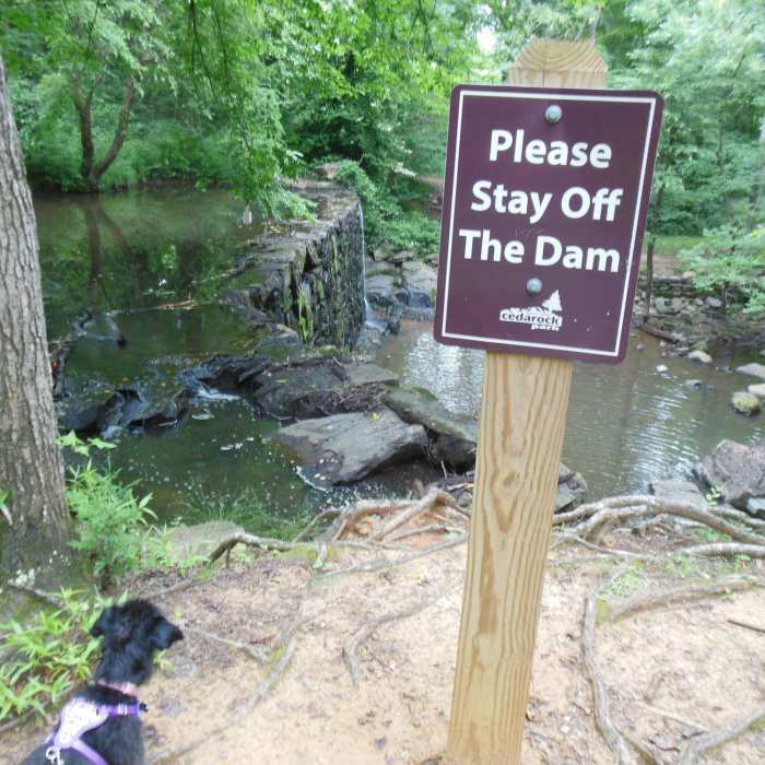 Near Cedarock Park Tour