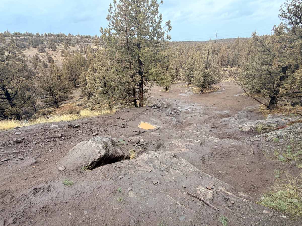 Cline Butte Trail 16 photo 5