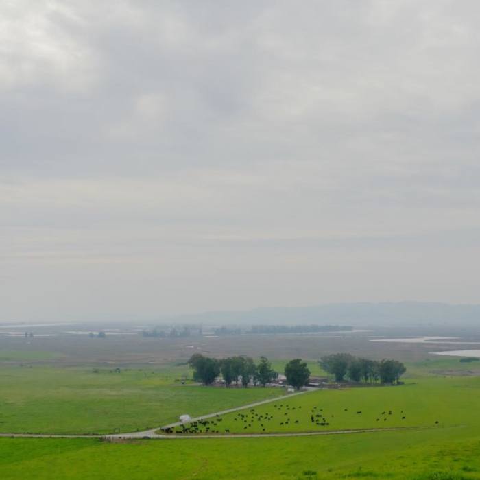 Near Suisun Hill Trail Hike
