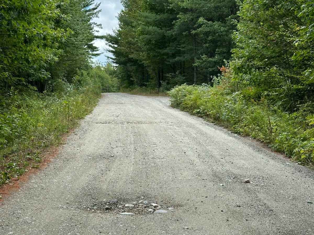 Branch Lake Forest Access Road photo 6
