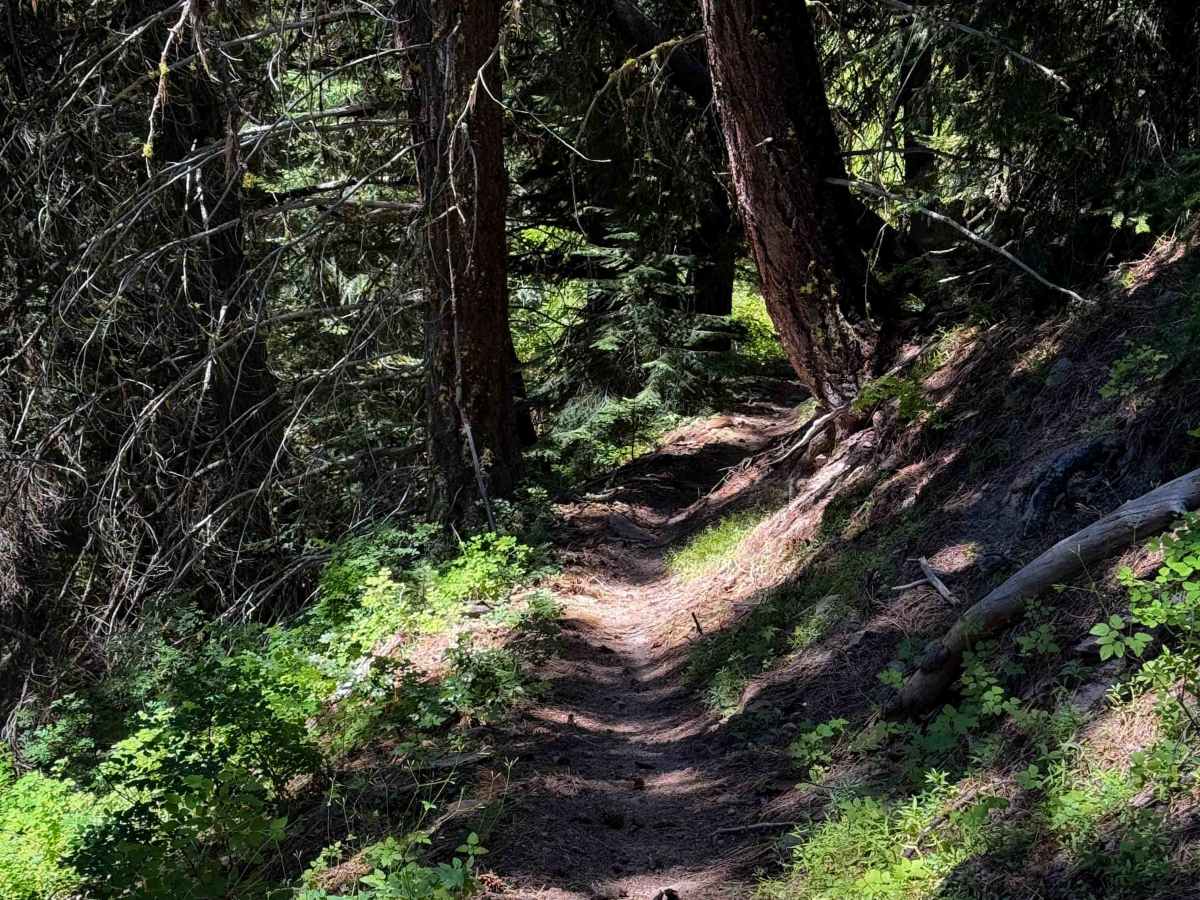 South Fork Manastash - FS 1386.1  photo 6
